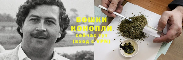 молекула духа Бронницы